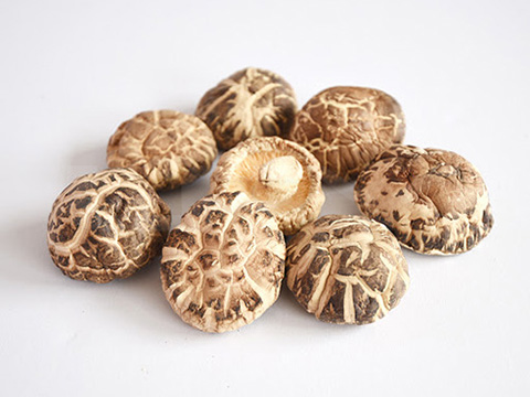 Shitake Mushroom / 茶花菇